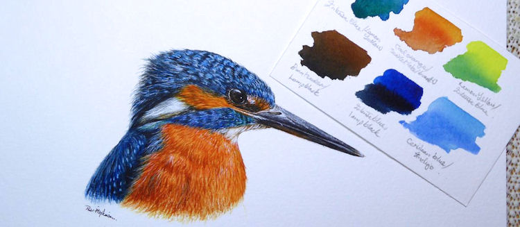 Completed Kingfisher watercolour painting