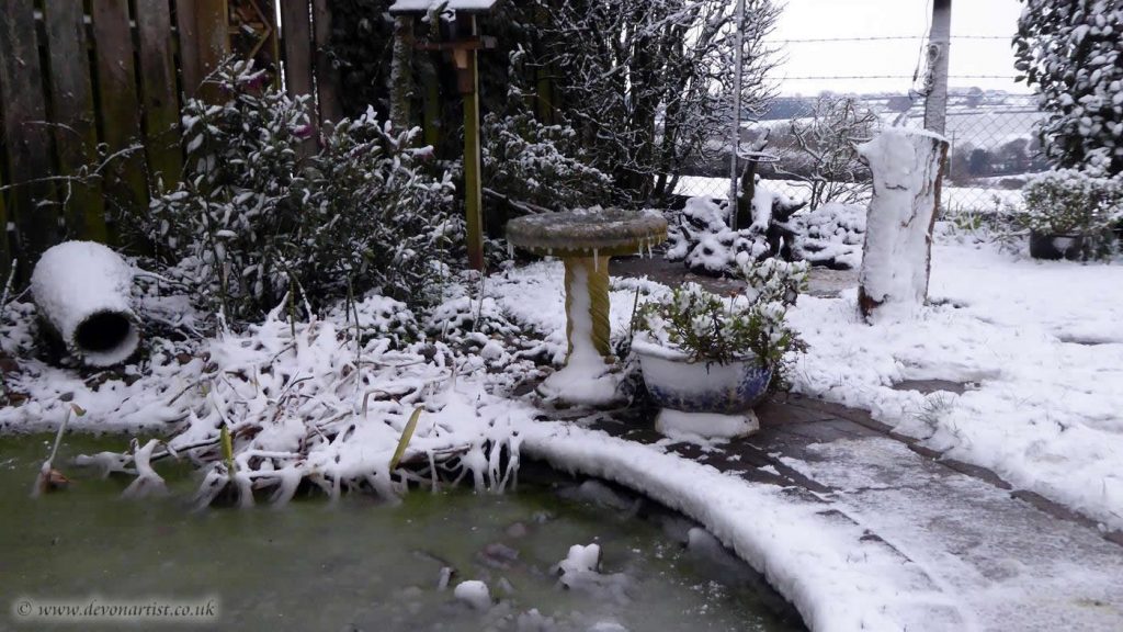 Snow in North Devon, February 2019