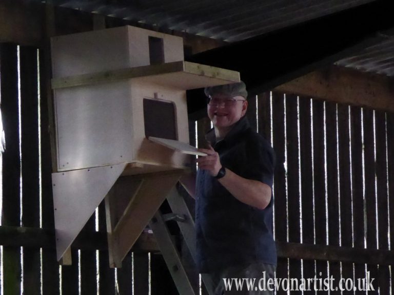 Putting up a Barn Owl Box, Owl Painting & Conservation The Devon Artist