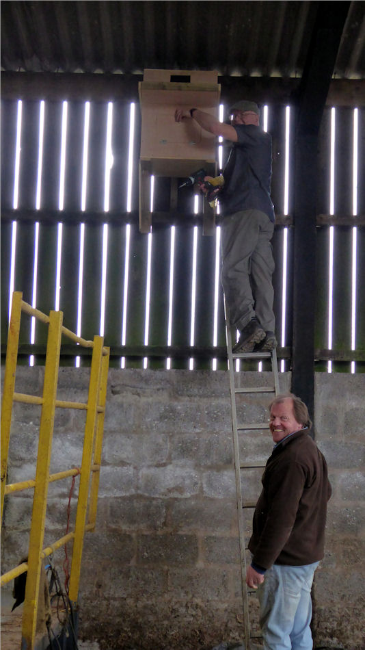 Installing a barn owl box in a Devon village, step 4