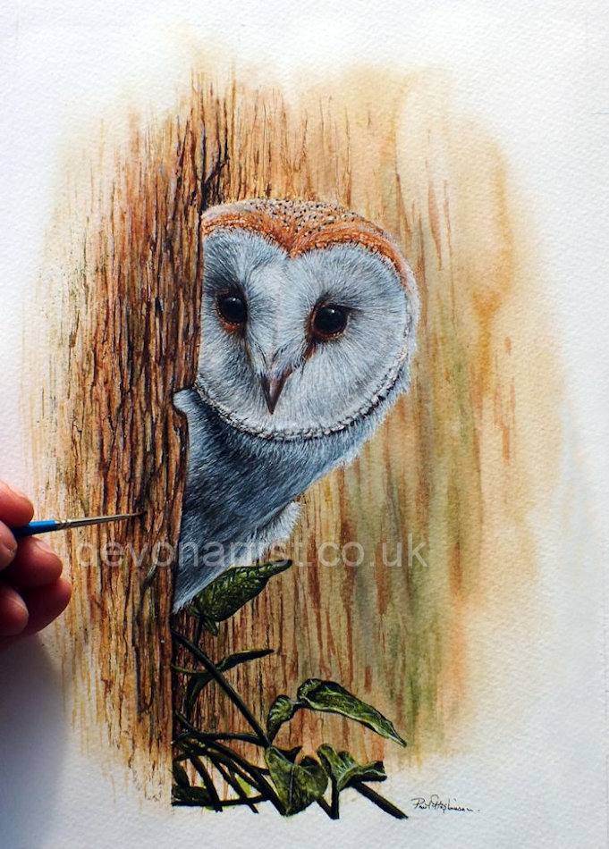 Original owl watercolour artwork