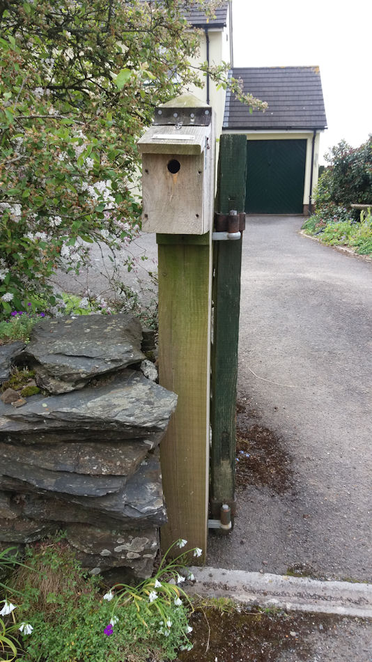 Bird box sited on a garden gatepost