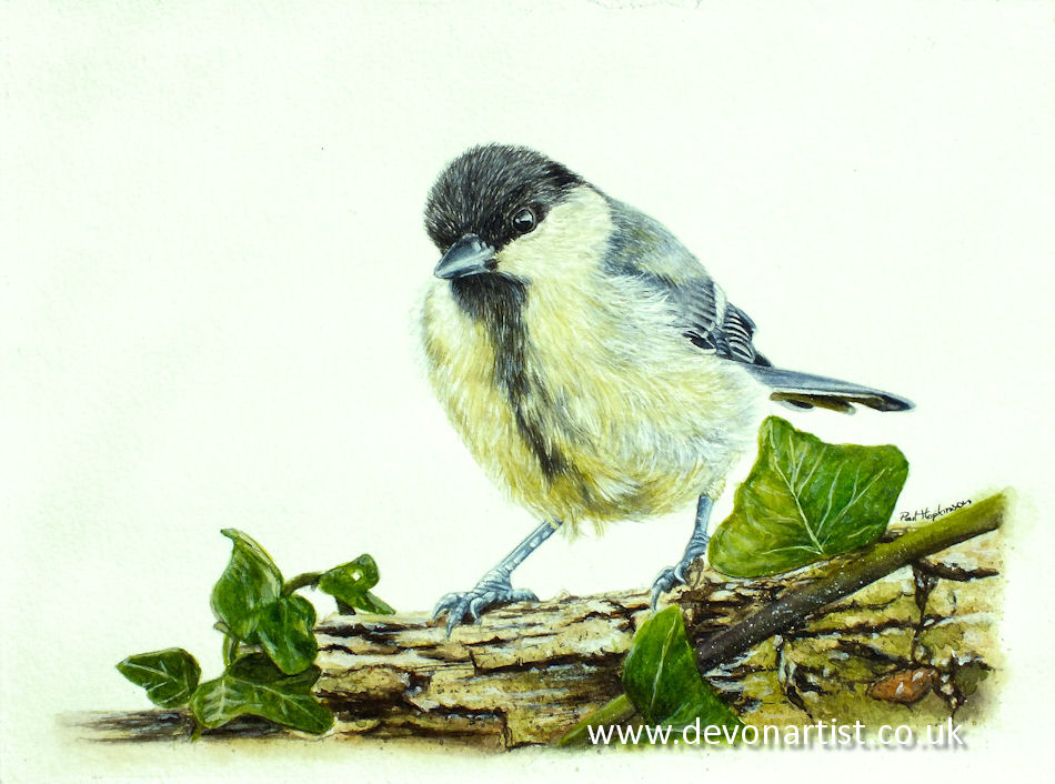 Original watercolor bird painting