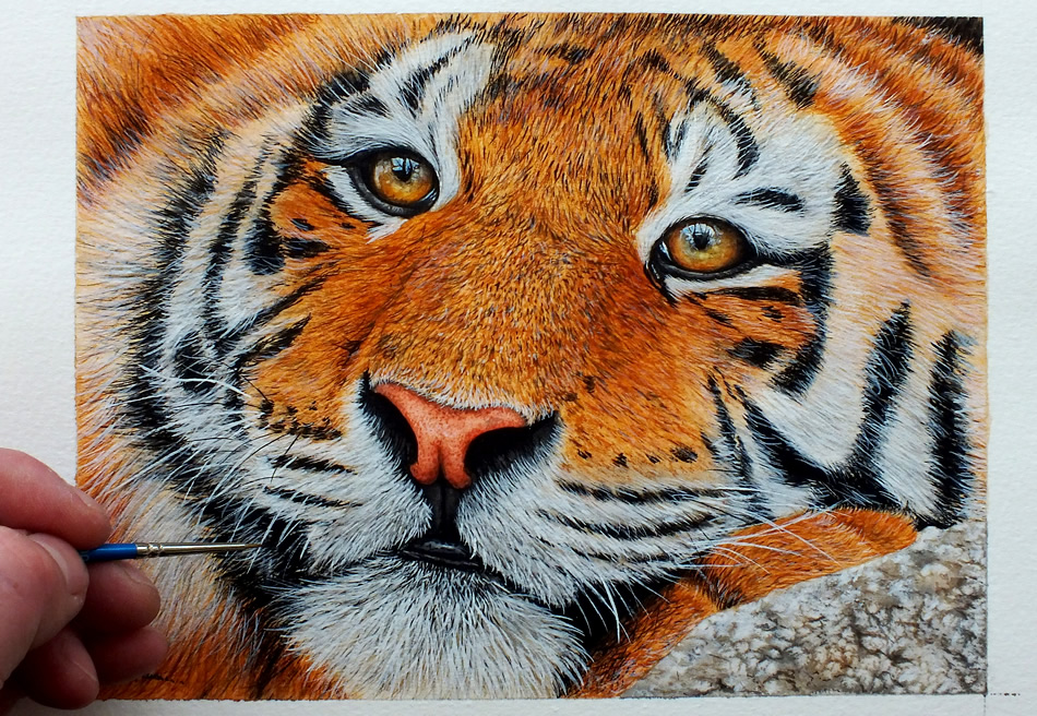 Original watercolor tiger painting