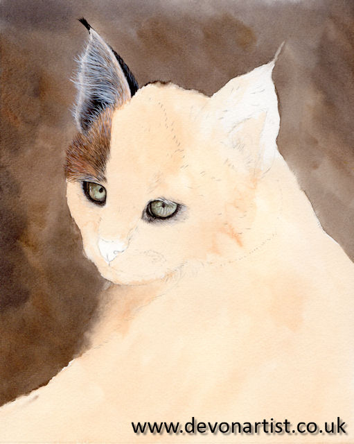 How to paint a cat using watercolor, step 3