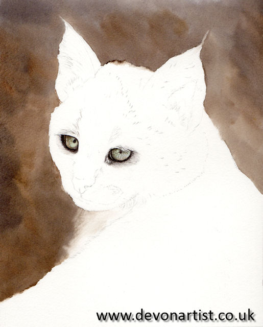 Watercolour big cat painting, step 2