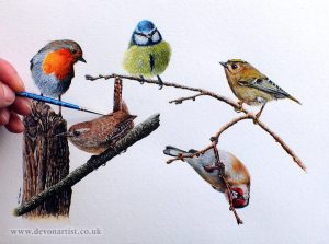 Garden-bird-watercolour-painting-by-Paul-Hopkinson