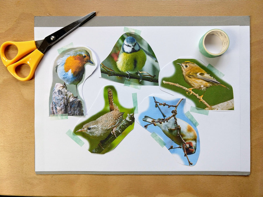 Positioning bird images for painting project