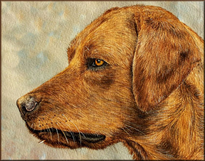 Button to all the videos linked to the Labrador watercolour tutorial