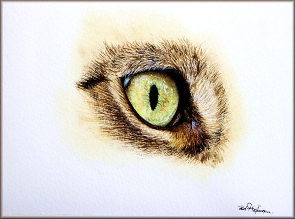 Free Tutorial Cat's Eye Paint Along - The Devon Artist
