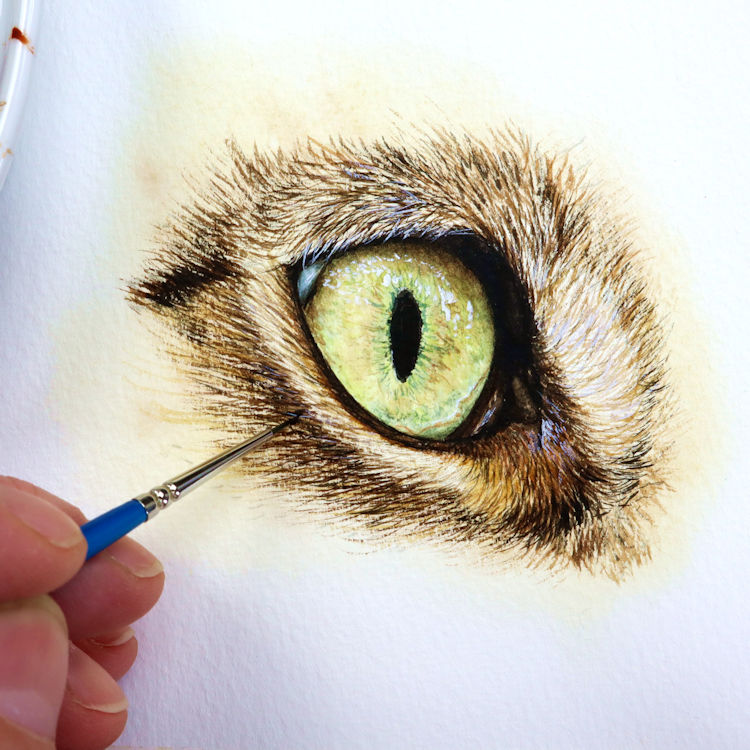 How To Draw A Realistic Animal Eye