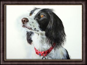 Cocker spaniel dog watercolor portrait by Paul Hopkinson