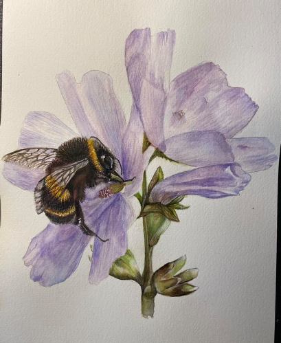 How to paint a bee in detailed watercolour on a flower- The Devon Artist