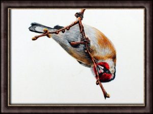 Watercolour video tutorial on painting a goldfinch bird