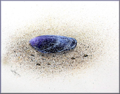 Button link to a shell watercolour video tutorial