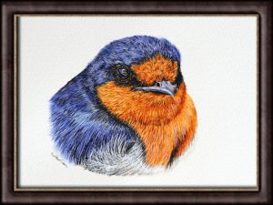 Original watercolor Welcome Swallow painting