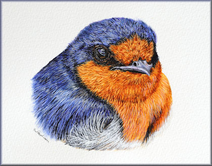 Button link to a watercolour swallow painting art lesson