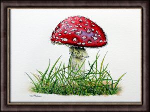 Nature art, toadstool painting and ink drawing