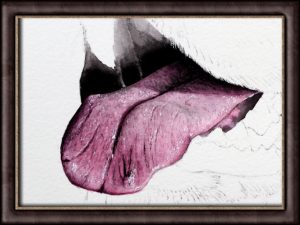 Dog tongue watercolour painting course