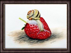 Wildlife in watercolour, online painting lesson - strawberry and snail