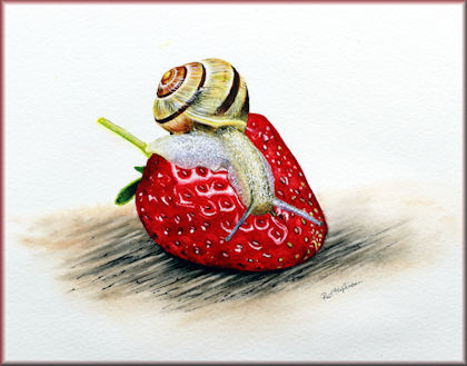 Strawberry and snail watercolour painting tutorial, button link