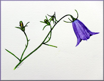 Button link to a wildflower watercolour painting tutorial