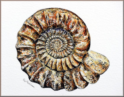 Button link to a fossil watercolor painting tutorial
