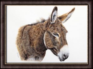 Donkey watercolour painting, illustration style art