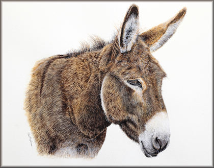 Button link to a donkey watercolour painting lesson