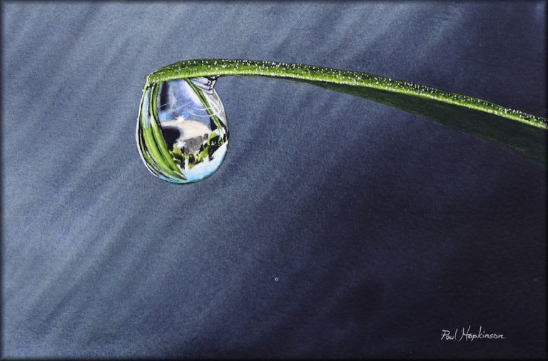 How to paint water drops in watercolor The Devon Artist