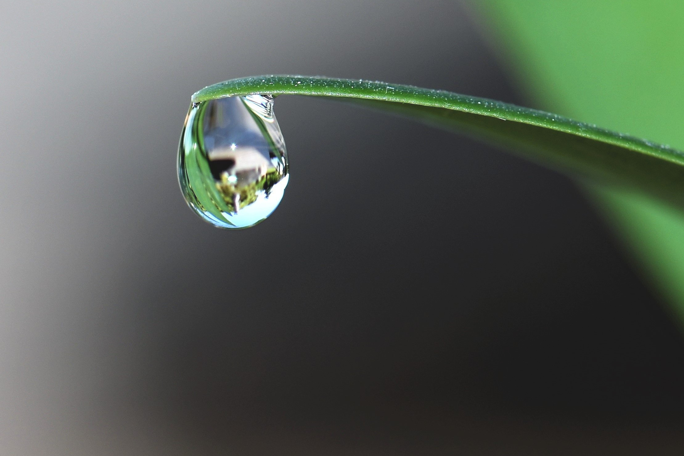 How to paint water drops in watercolor The Devon Artist